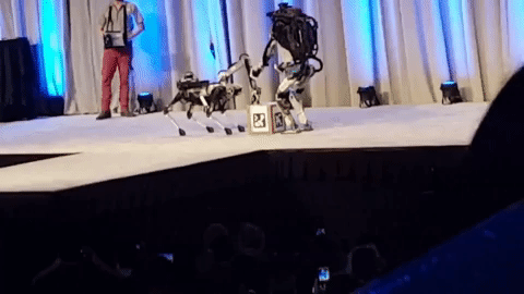 Робот Atlas компанії Boston Dynamics впав під час презентації (3 гифки)