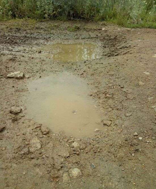 У Свердловській області пенсіонерки провели ремонт дороги (3 фото)