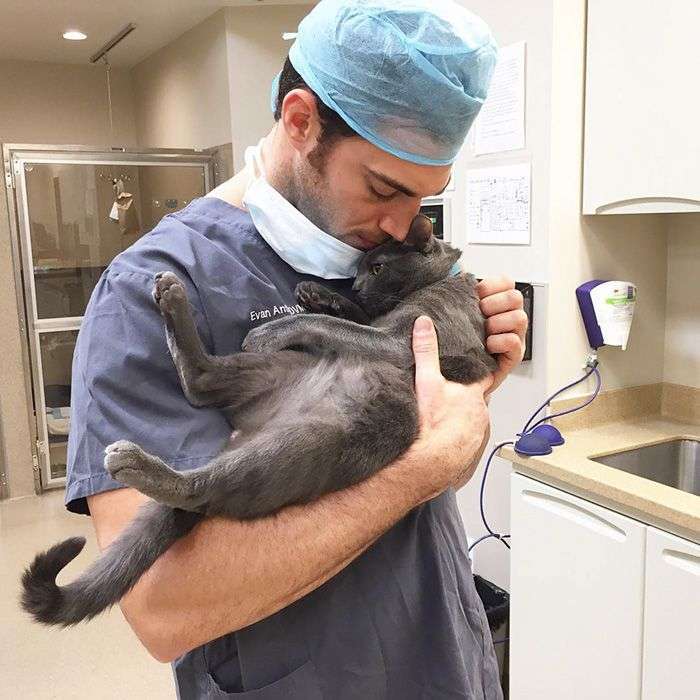 Еван Антін - найсексуальніший ветеринар у світі (33 фото)