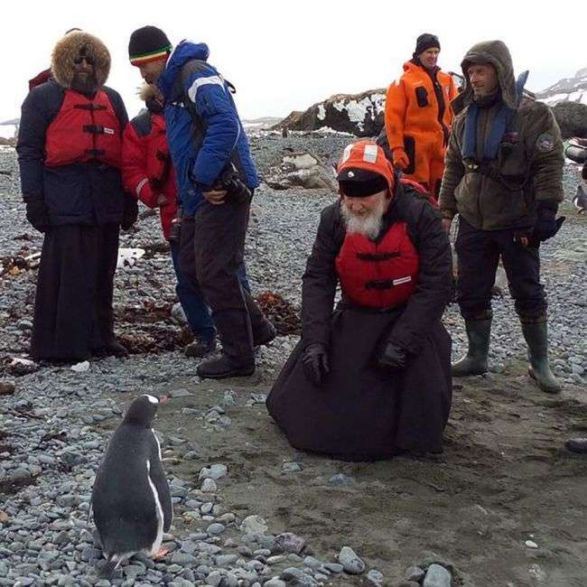 Фото патріарха Кирила і пінгвінів стало приводом для нових фотожаб (15 фото)