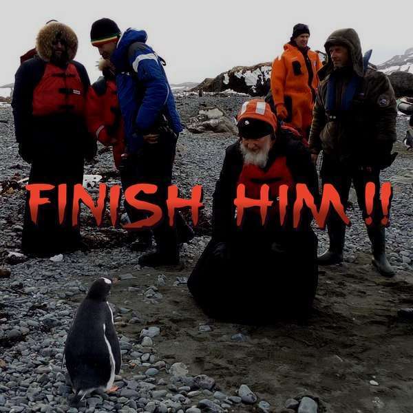 Фото патріарха Кирила і пінгвінів стало приводом для нових фотожаб (15 фото)