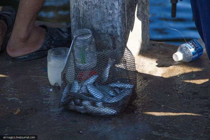 Нехитра вєтнамське пристосування для рибної ловлі з пластикової пляшки (7 фото)