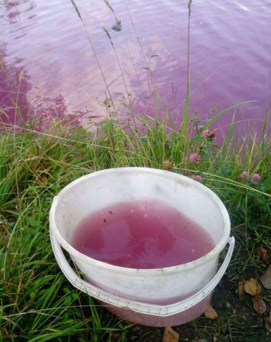 У Тульській області Товарковское водосховище стало кольоровим (3 фото)
