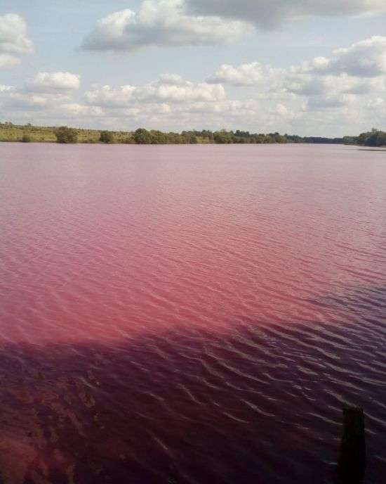У Тульській області Товарковское водосховище стало кольоровим (3 фото)