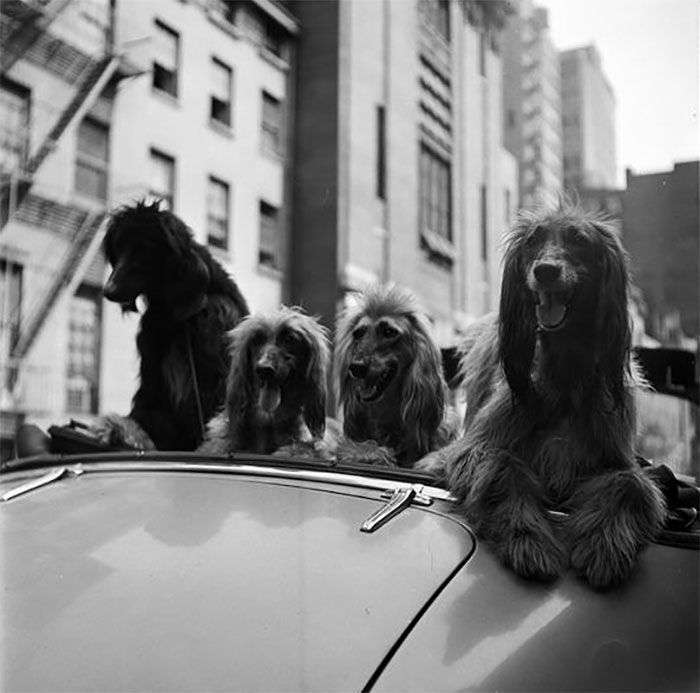 Фотографії Нью-Йорка, зроблені Стенлі Кубриком (31 фото)