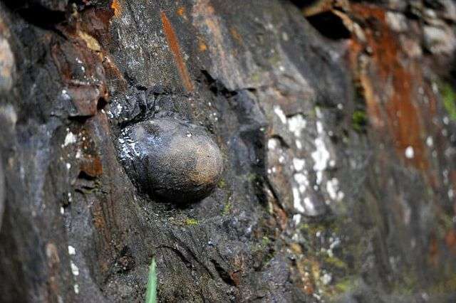 Скеля з «камяними яйцями» принесла популярність китайської селі (6 фото)