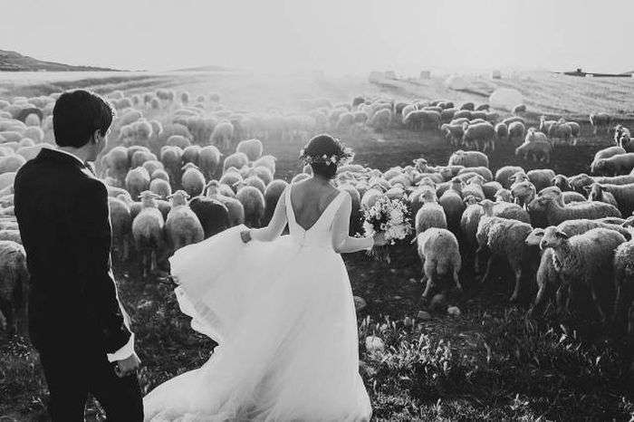 Найкрасивіші весільні фото 2015 року (34 фото)