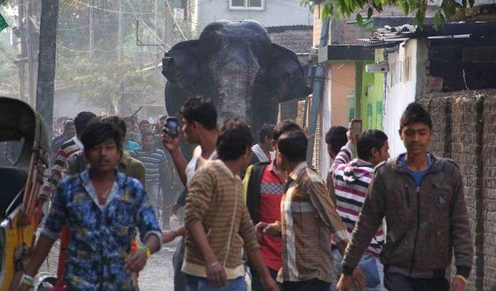 Дикий слон влаштував погром в індійському місті Сілігурі (6 фото)