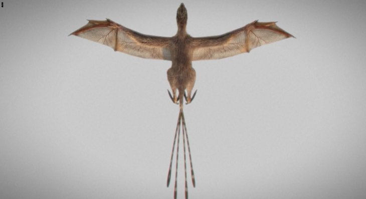 Обнаружены останки динозавра с крыльями, который жил 163 миллиона лет назад Интересное