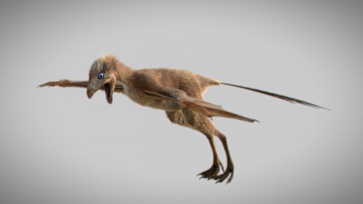 Обнаружены останки динозавра с крыльями, который жил 163 миллиона лет назад Интересное
