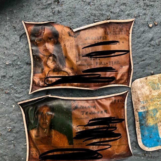 Австралийка нашла в парке кошелек, который был потерян 40 лет назад   Интересное