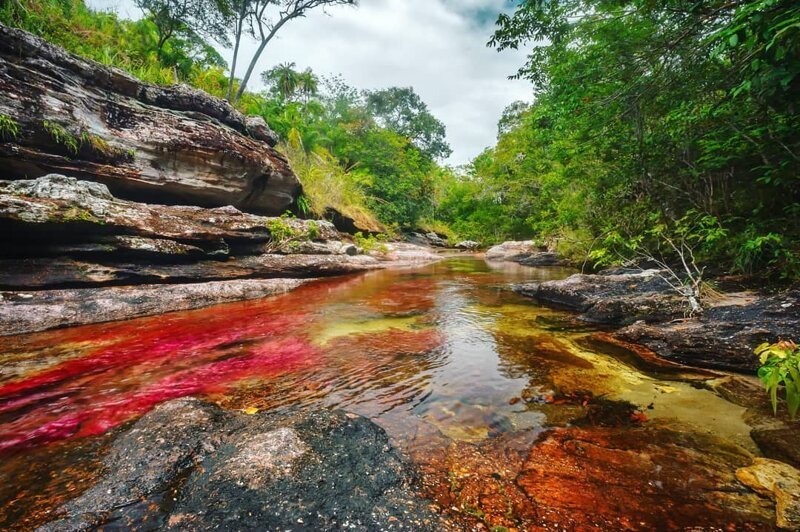 В Колумбии «расцвела» река пяти цветов   Интересное