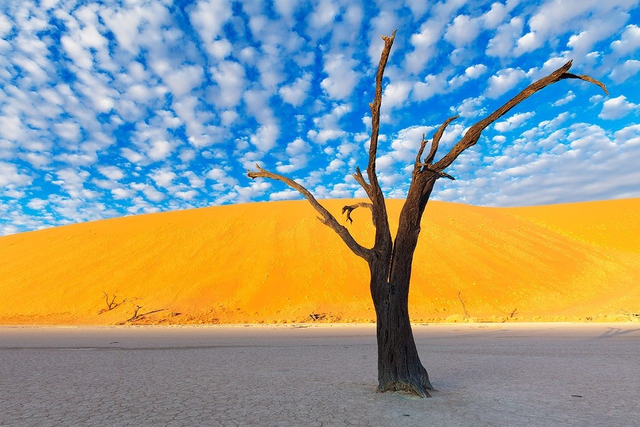 Пустыня - красивейшая часть нашей планеты, таящая множество загадок природа