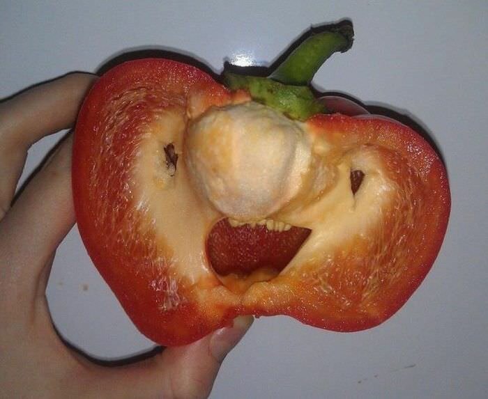 15 доказательств того, что перец - самый эмоциональный овощ из всех существующих! юмор