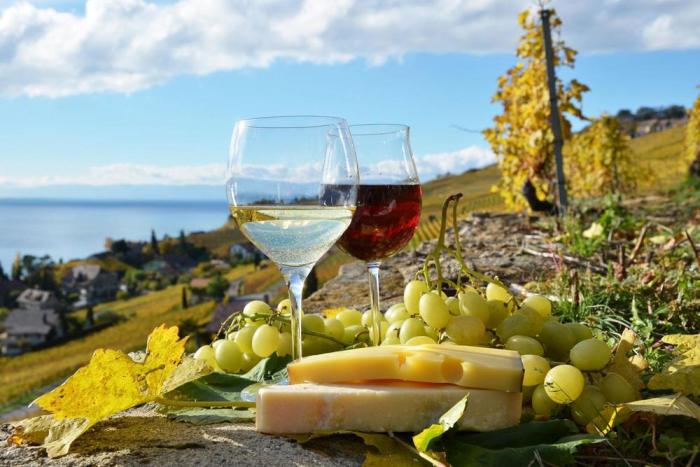 Подборка интересных фактов о виноделие в Италии 