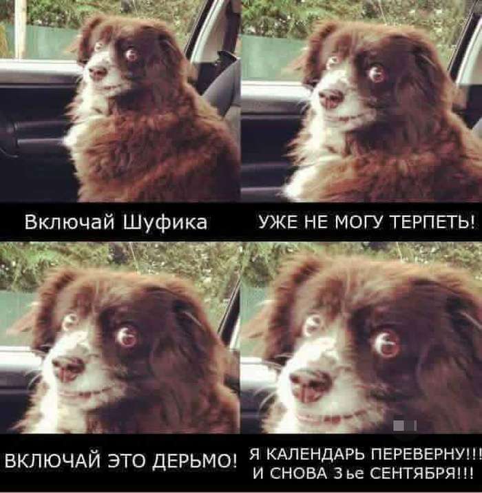 Знову 3 вересня (20 фото)