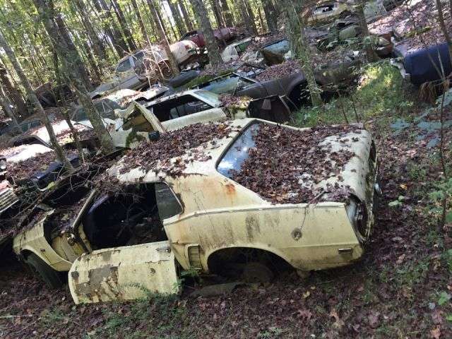 Old City Car - звалище класичних автомобілів у США (14 фото)