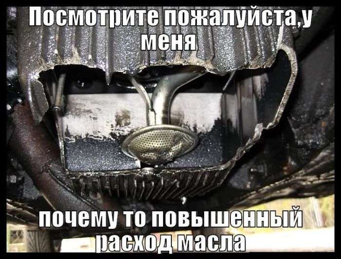 Автомобільний гумор на дорогах Росії (50 фото)