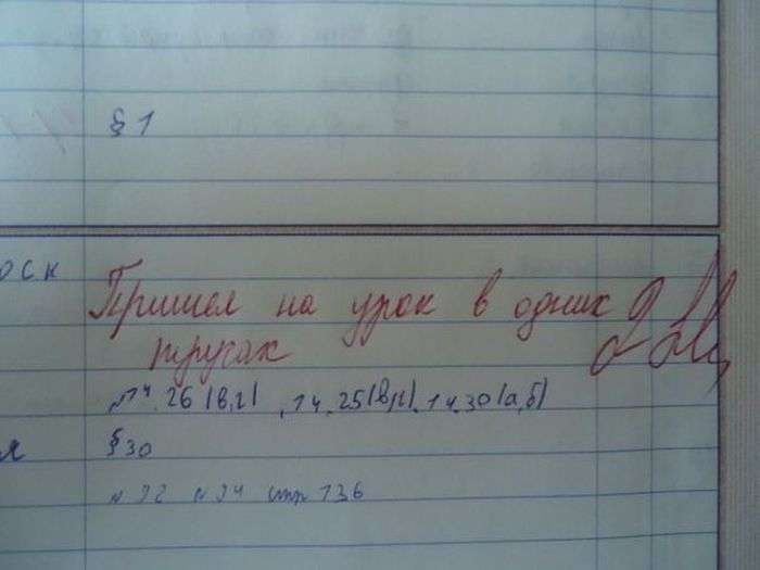 Зауваження в щоденниках (10 фото)