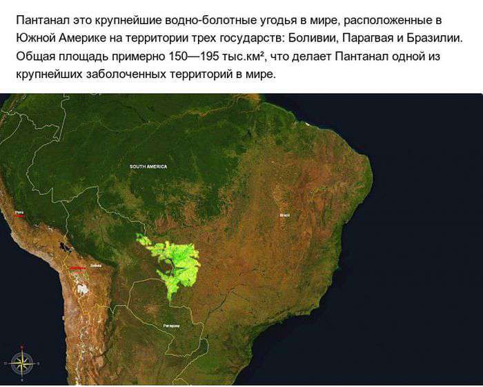 Пантанал - справжній рай на землі (10 фото)