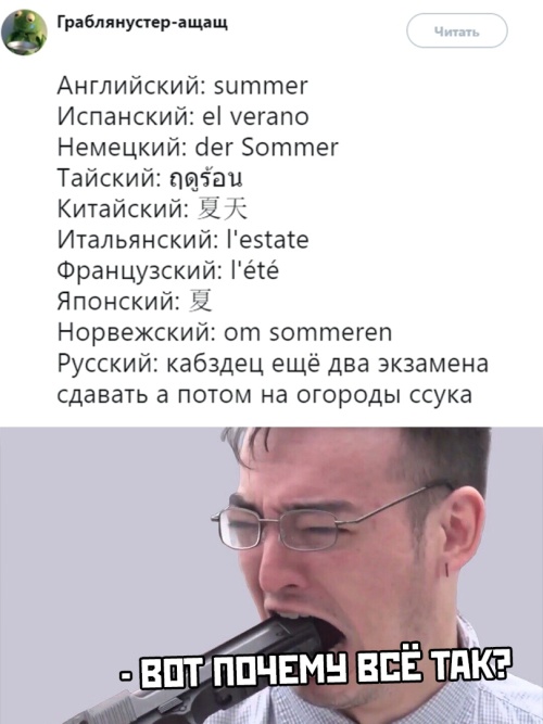 Новая подборка прикольных картинок прикольные картинки