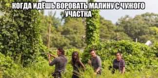 Прикольні картинки з написами (20 фото)