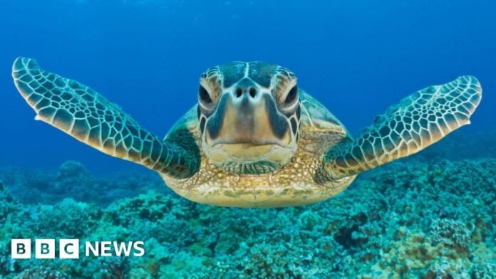 1ca4e3b5-9988-4be4-998a-c2508e91a980