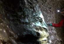 Een spinnenmetropool in een geurige grot