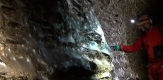 Мегаполіс павуків у смердючій печері