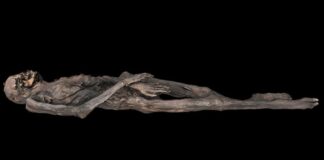 Oude Siberische ijsmummie onthult prachtige tatoeages