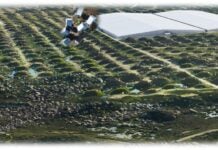 Czarne dziury w końcu powiązane z tajemnicą promieni kosmicznych