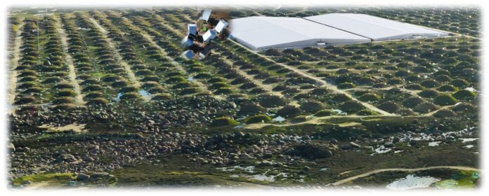 290f0150-fe99-4fcd-a2da-a24073f1dd83