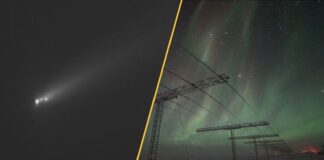 Llamaradas solares, cerebros de zombis y cerdos infernales: esta semana en la ciencia