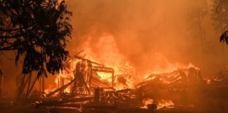 Coraz częstsze pożary na całym świecie spowodowane zmianami klimatycznymi