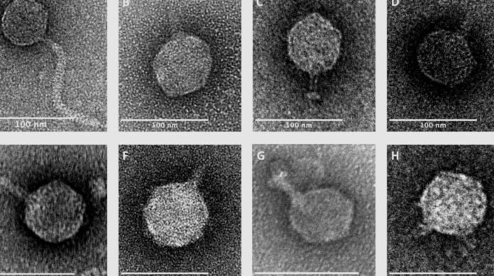 6d3e0286-1ebe-464e-ba09-95734e5be7c3