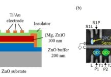 Sfruttare l’ossido di zinco: un passo avanti verso l’informatica quantistica pratica