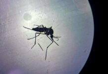 Чат-боты пишут письма научным журналам, сообщают редакторы