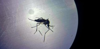 Chatbots Menulis Surat ke Jurnal Ilmiah, Laporan Editor