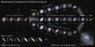 El telescopio Euclid revela la evolución galáctica con un detalle sin precedentes