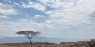 Continental Splintering: Proč některé regiony odolávají rozpadu