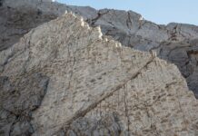 Niesamowite ślady dinozaurów odkryte we włoskich Alpach