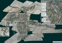 Starověké dinosauří fosilie odhalují ztracenou schopnost létat