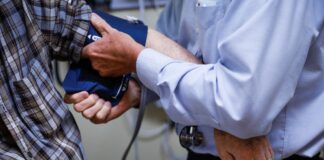 Le rôle inattendu de la graisse brune dans la santé cardiovasculaire