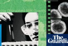 La scienza americana è sotto pressione: la fuga dei cervelli minaccia l’innovazione futura