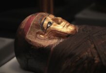 Стародавні Мумії Розкривають Свої Таємниці Через Запах