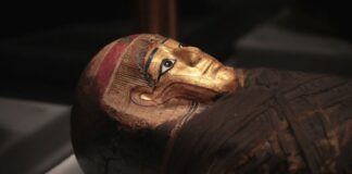 Starověké mumie odhalují svá tajemství prostřednictvím čichu