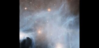 Bintang Baru Lahir Muncul dalam Gambar Lupus 3 yang Menakjubkan Hubble