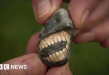 Стародавня “Усміхнена” Скам’янілість, Виявлена на Березі Нортумберленда