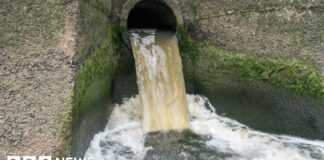 Revisione del sistema idrico gallese: nuove normative, sfide di finanziamento e obiettivi a lungo termine