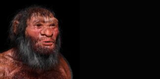 Phantom Bloodlines: Skrytá historie v naší DNA